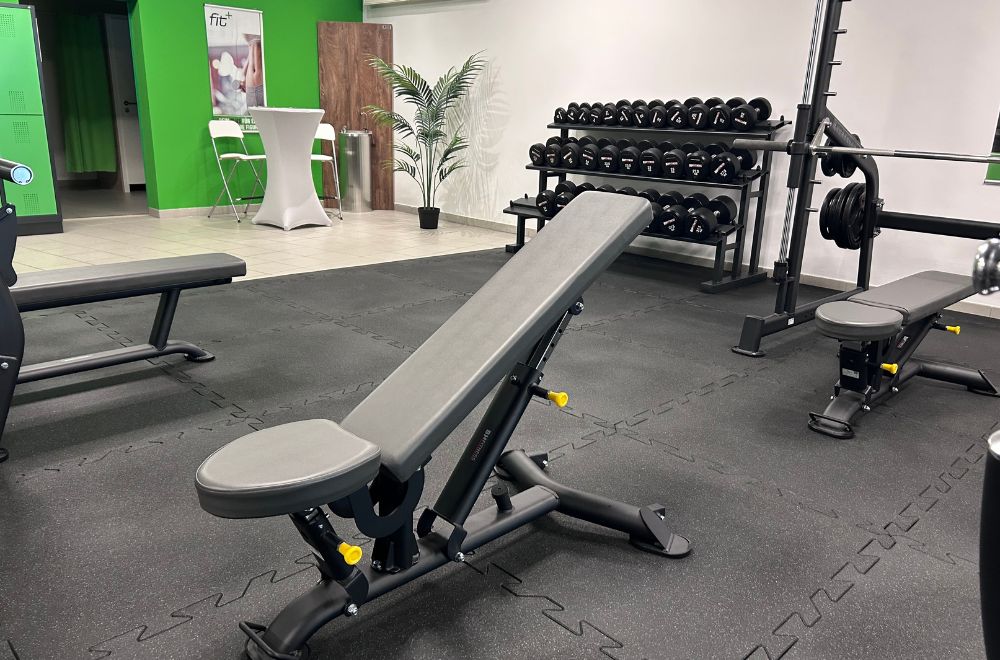 fitplus_Zella-Mehlis_Freihanteltraining_Bereich